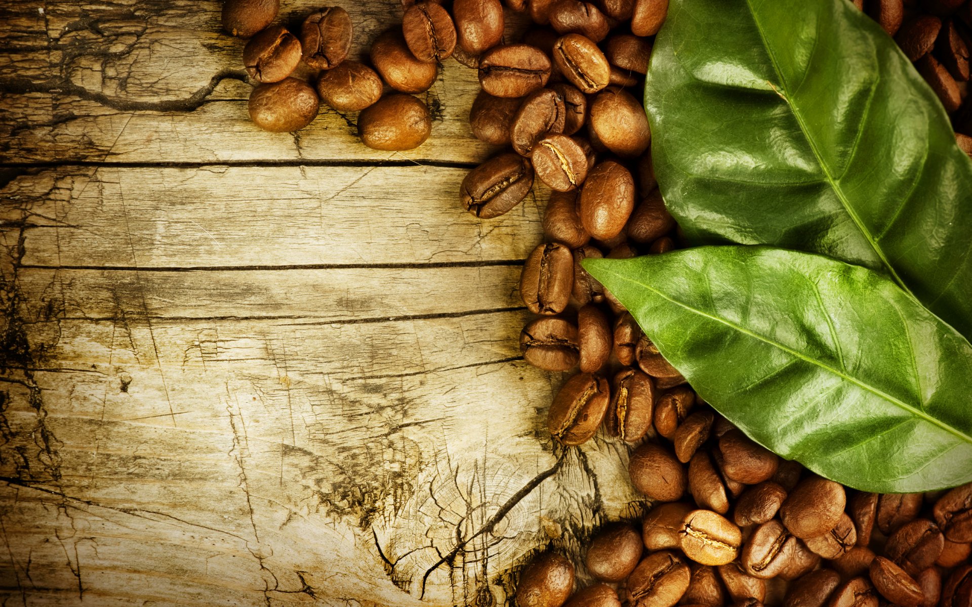 Coffee beans, wallpaper, watercolor Stock Illustration | Adobe Stock, image size:1920x1200