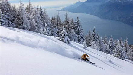 skiing Sports HD Desktop Wallpaper | Background Image