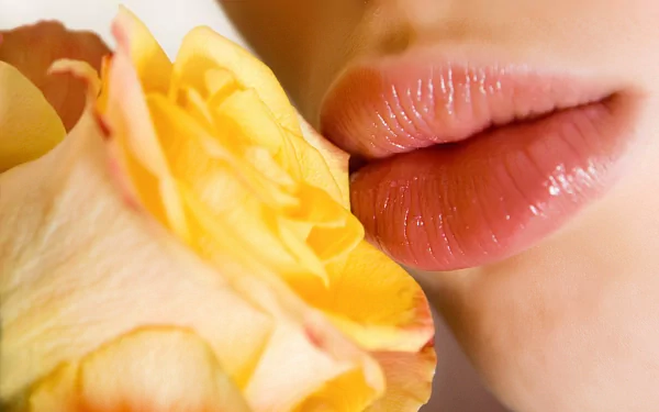 A close-up of a woman's lips gently touching a yellow rose, creating a beautiful and serene HD desktop wallpaper and background.
