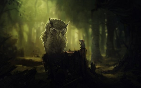 Animal Owl Birds Owls Bird Mouse HD Wallpaper | Background Image