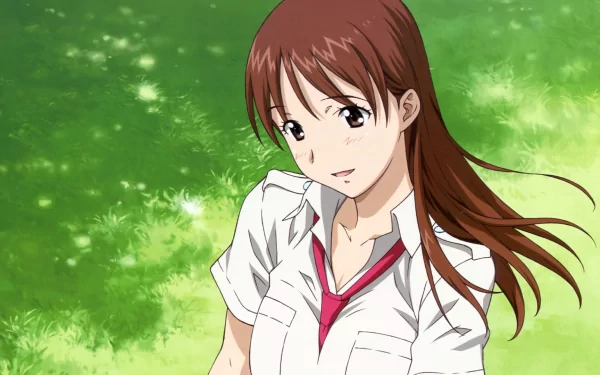 Anime HD PC desktop wallpaper — Kamisama Dolls: brown-haired schoolgirl in a white shirt and red tie, hair blowing, gentle expression against a sunlit green grass background.