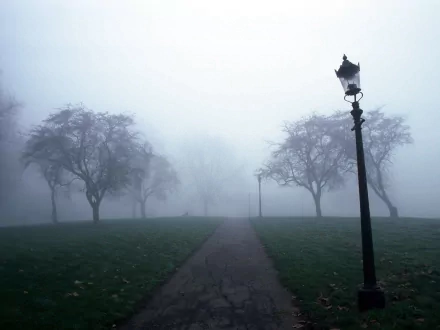 A foggy park scene with an old-fashioned lamp post and barren trees lining a paved path, set against a misty background. HD desktop wallpaper.