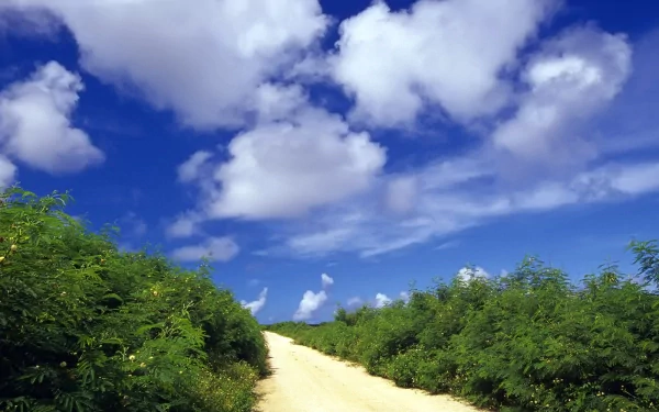 A man-made dirt road winds through green bushes beneath a vibrant blue sky with scattered white clouds, captured as an HD PC desktop wallpaper and background.