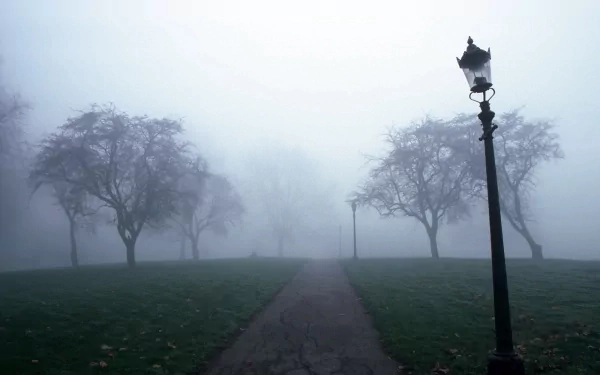 A foggy park scene with an old-fashioned lamp post and barren trees lining a paved path, set against a misty background. HD desktop wallpaper.