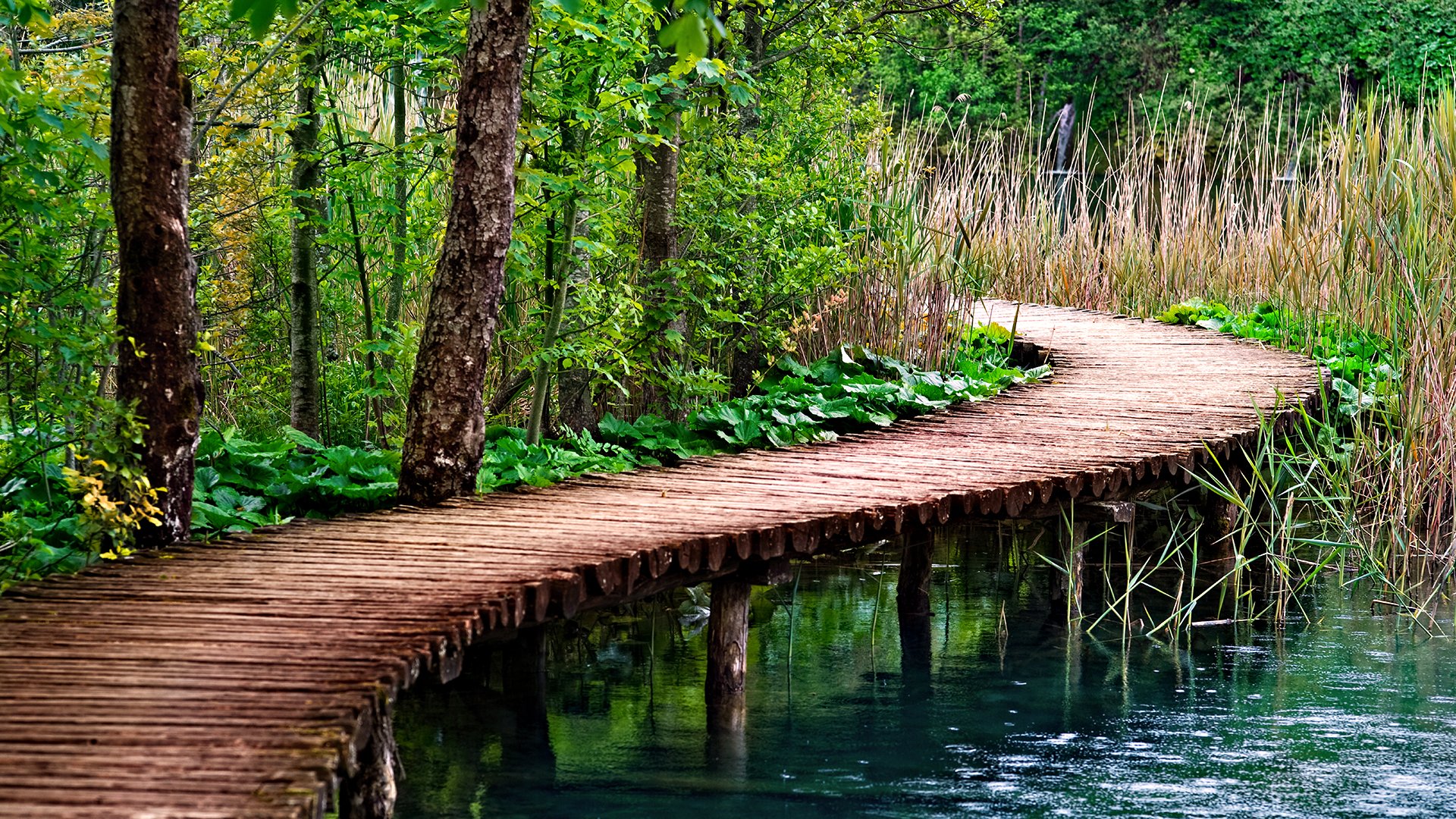 Boardwalk Full HD Wallpaper and Background Image | 1920x1080 | ID:229615