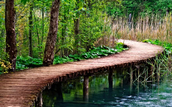 HD desktop wallpaper of a picturesque, man-made boardwalk bridge winding through lush greenery and over a serene body of water.