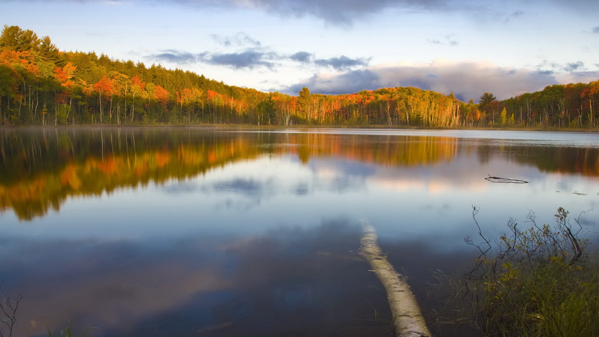 Nature Reflection HD Wallpaper