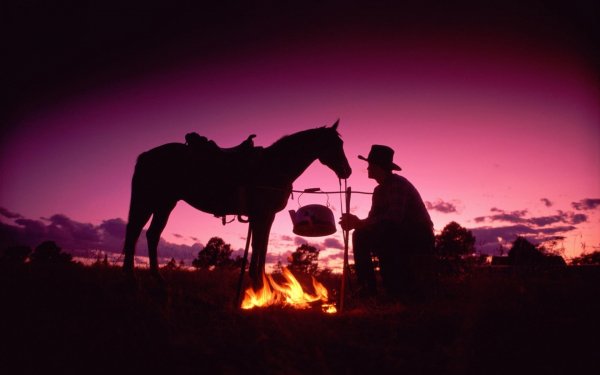 Men Cowboy Horse HD Wallpaper | Background Image