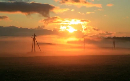 2K Quad HD PC desktop wallpaper/background photography of silhouetted power lines rising from a misty field beneath a golden sunset.