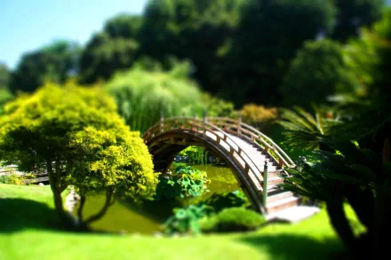 photography tilt shift HD Desktop Wallpaper | Background Image