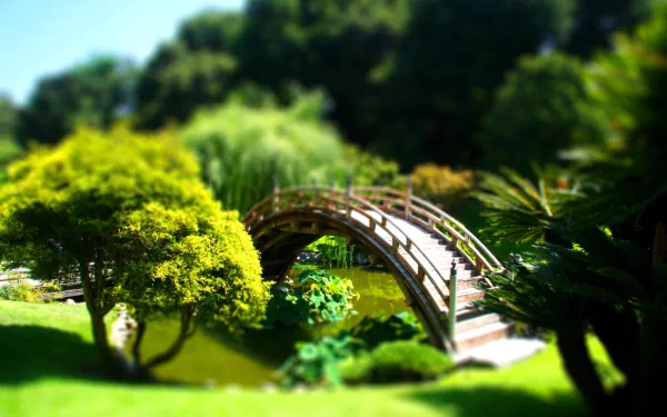 photography tilt shift HD Desktop Wallpaper | Background Image