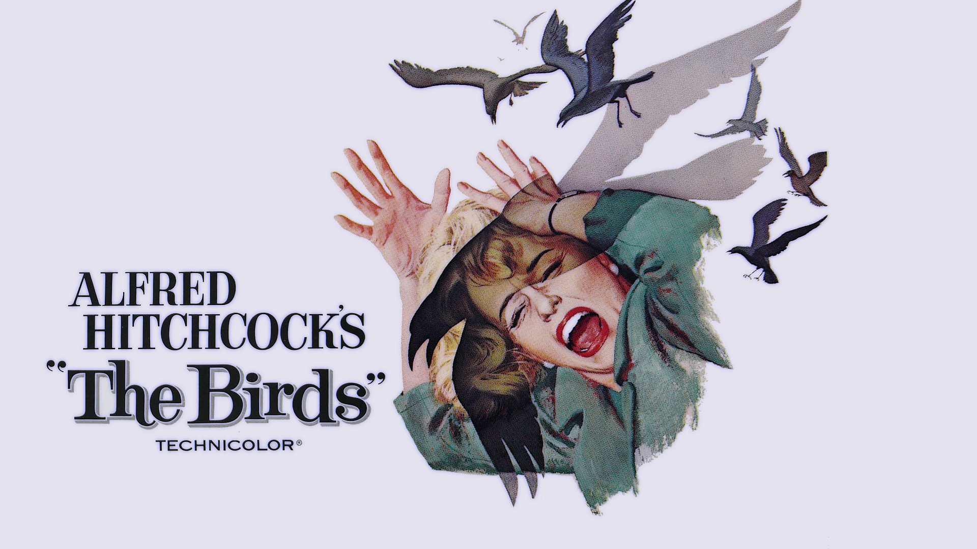 Movie The Birds HD Wallpaper | Background Image
