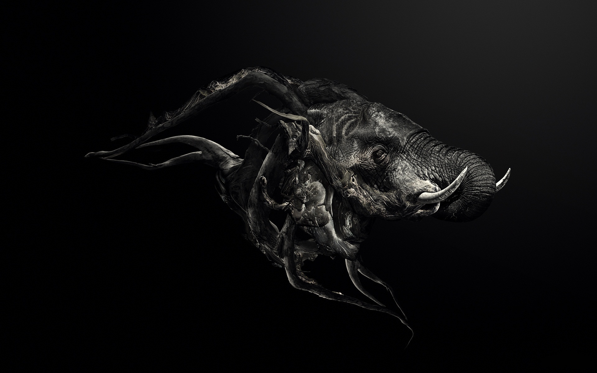 Dark Animal HD Wallpaper | Background Image
