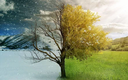 nature season HD Desktop Wallpaper | Background Image