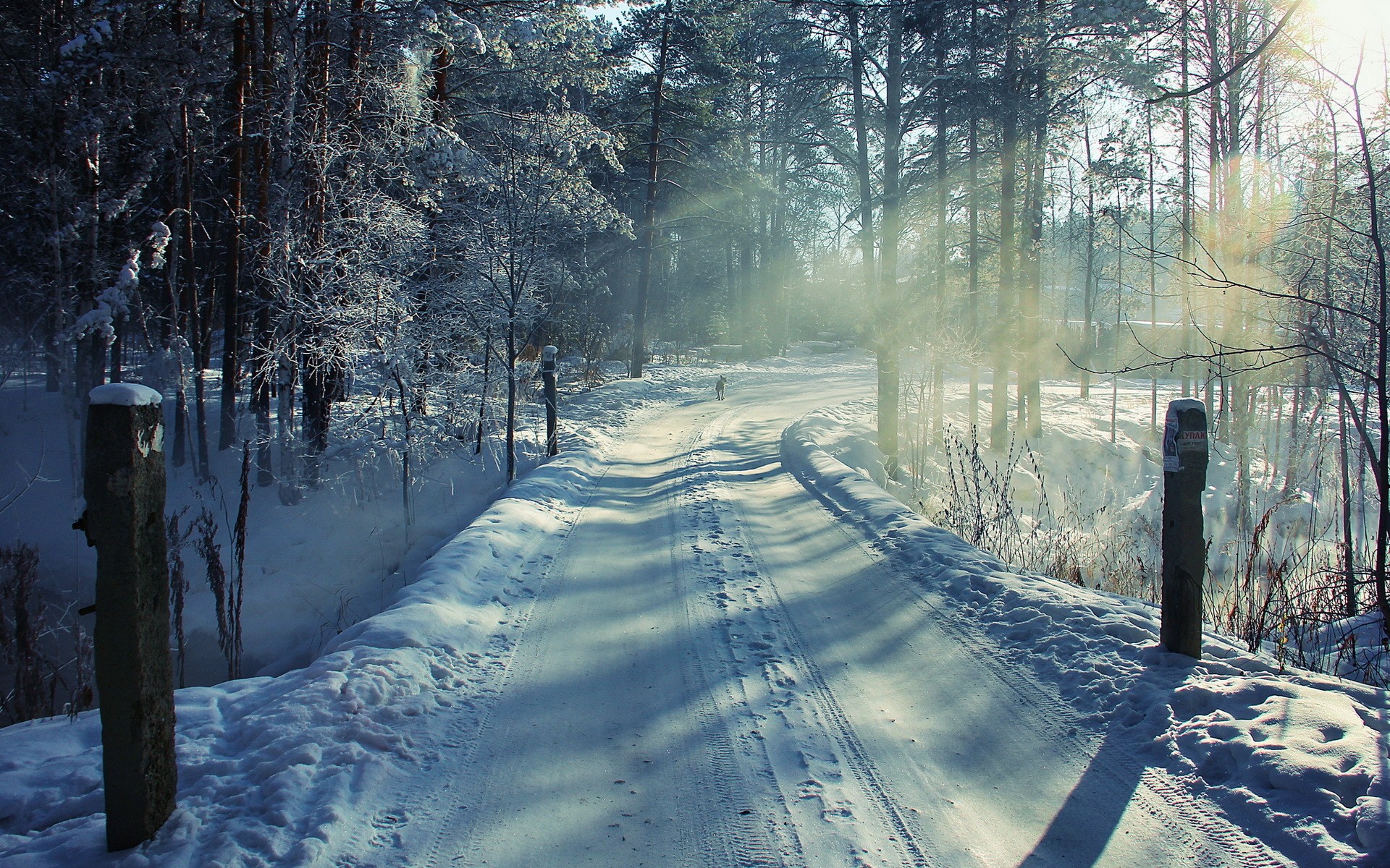 Download Forest Road Snow Nature Winter HD Wallpaper