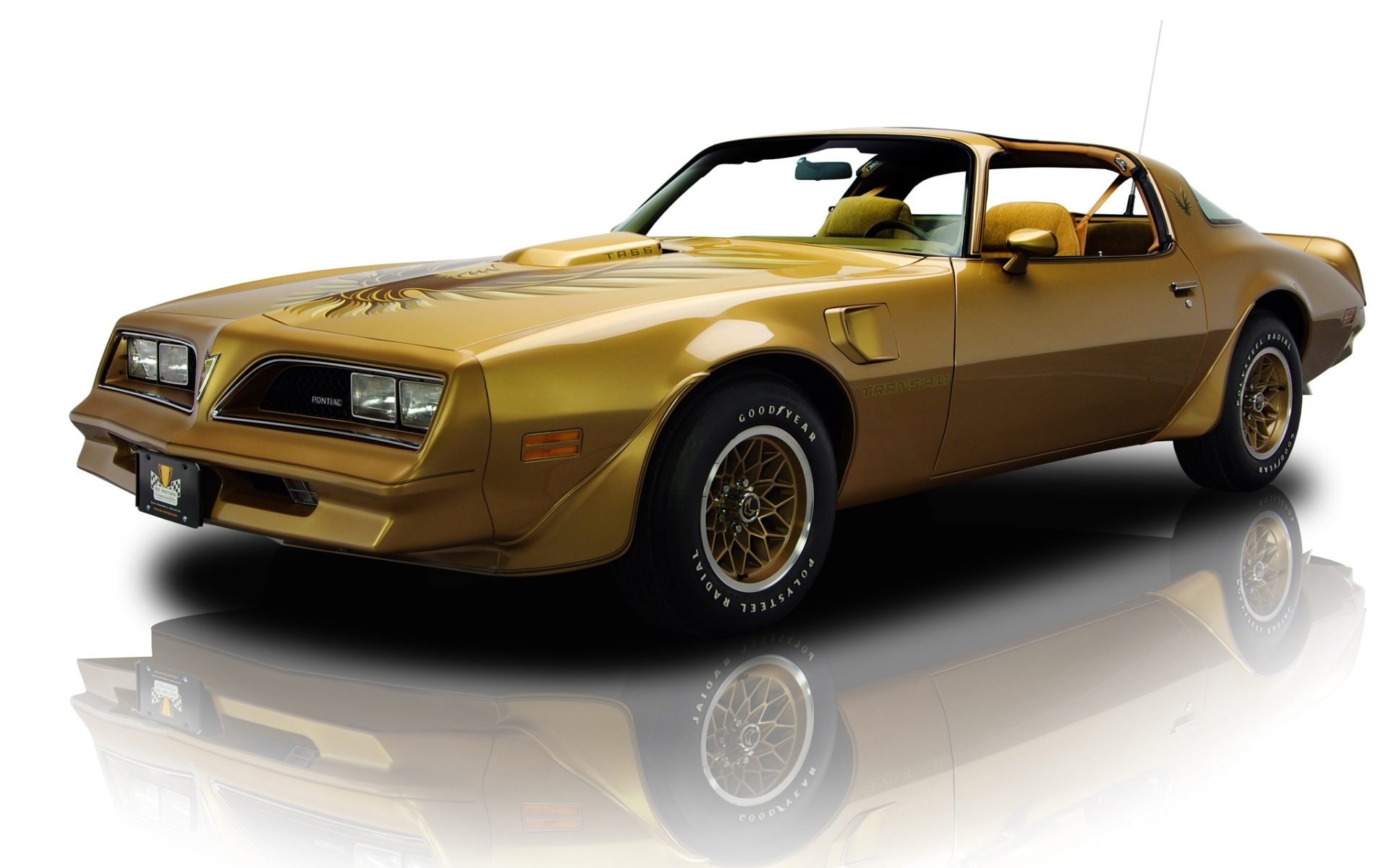 Download Vehicle Pontiac HD Wallpaper