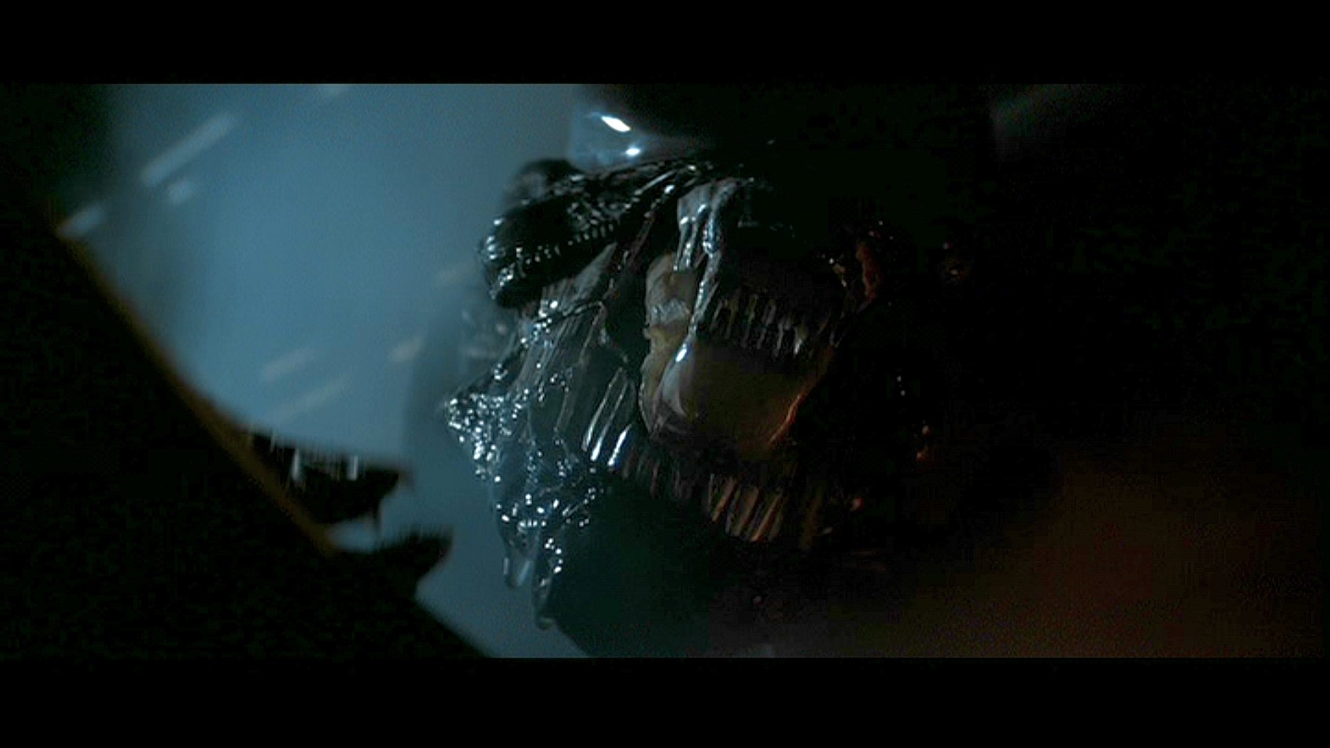 HD PC desktop wallpaper/background: dark movie close-up of a snarling alien with a glossy, tooth-filled jaw lit by cold blue light.
