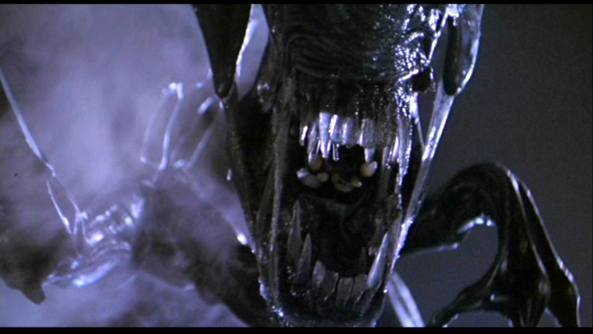 Close-up of a snarling movie alien with glistening black exoskeleton and inner jaws exposed in a smoky scene — HD PC desktop wallpaper/background.