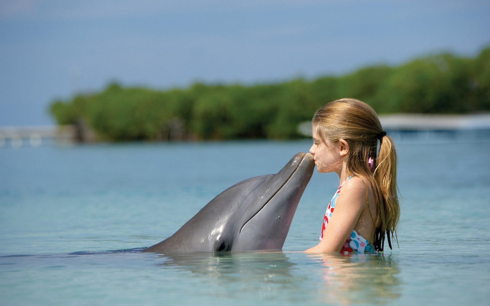 HD desktop wallpaper of a child gently kissing a dolphin in calm, clear water with a blurred green shoreline in the background.