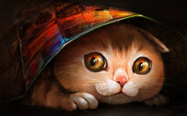 Animal Cat Cats Kitten Cute HD Wallpaper | Background Image