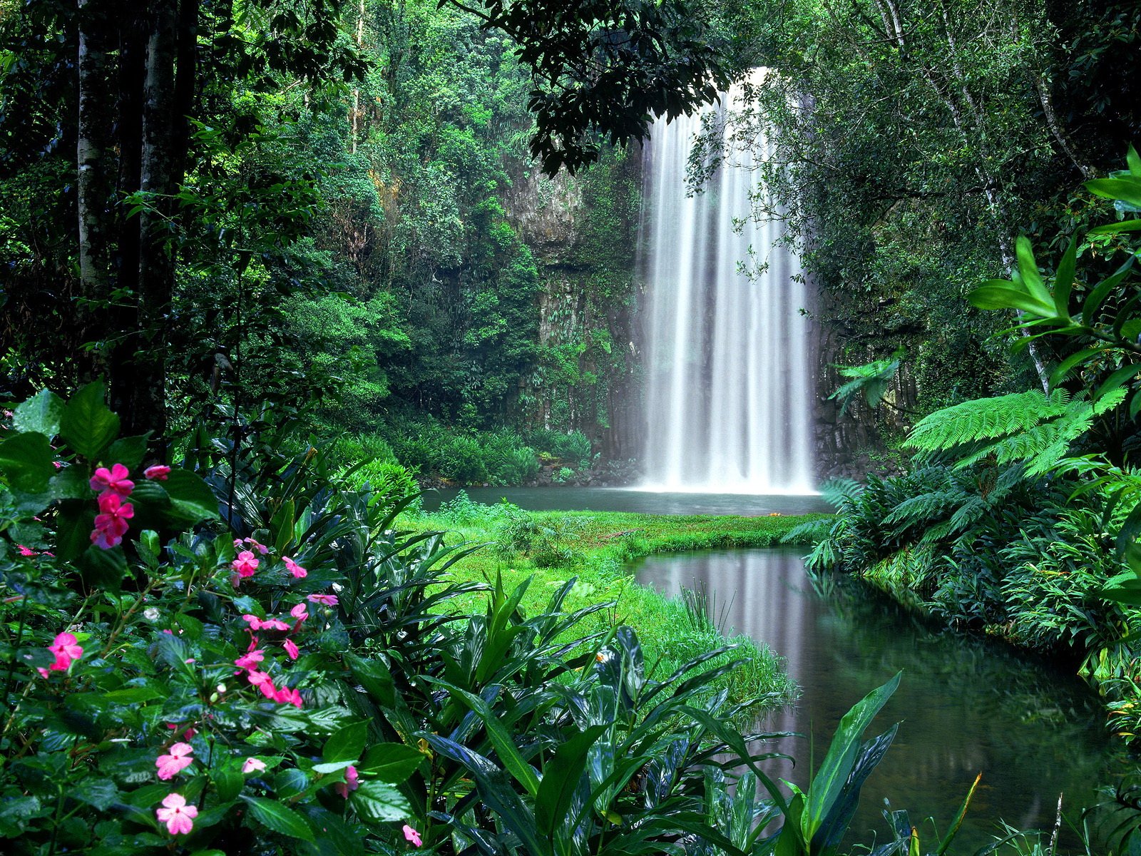 Nature's Serenity: Stunning HD Wallpaper of a Waterfall and Greenery