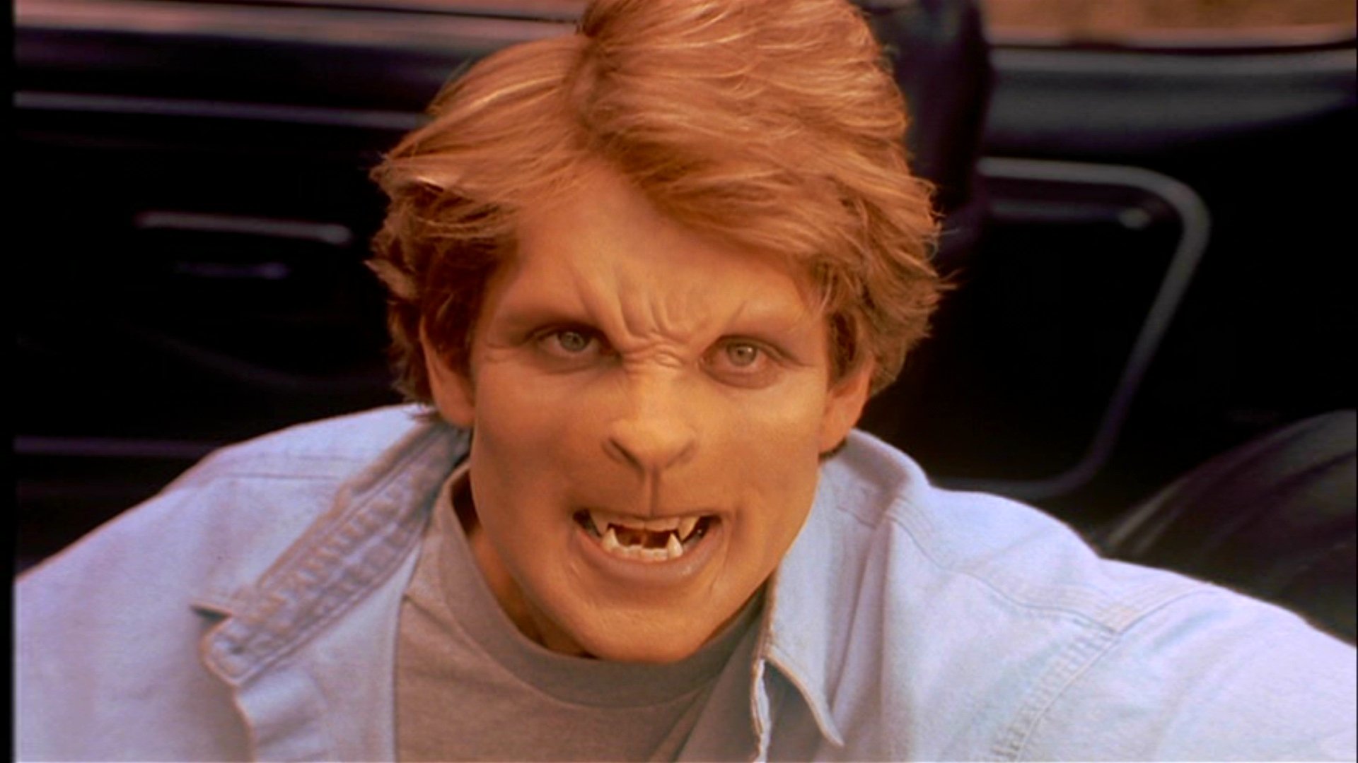 Download Movie Sleepwalkers HD Wallpaper