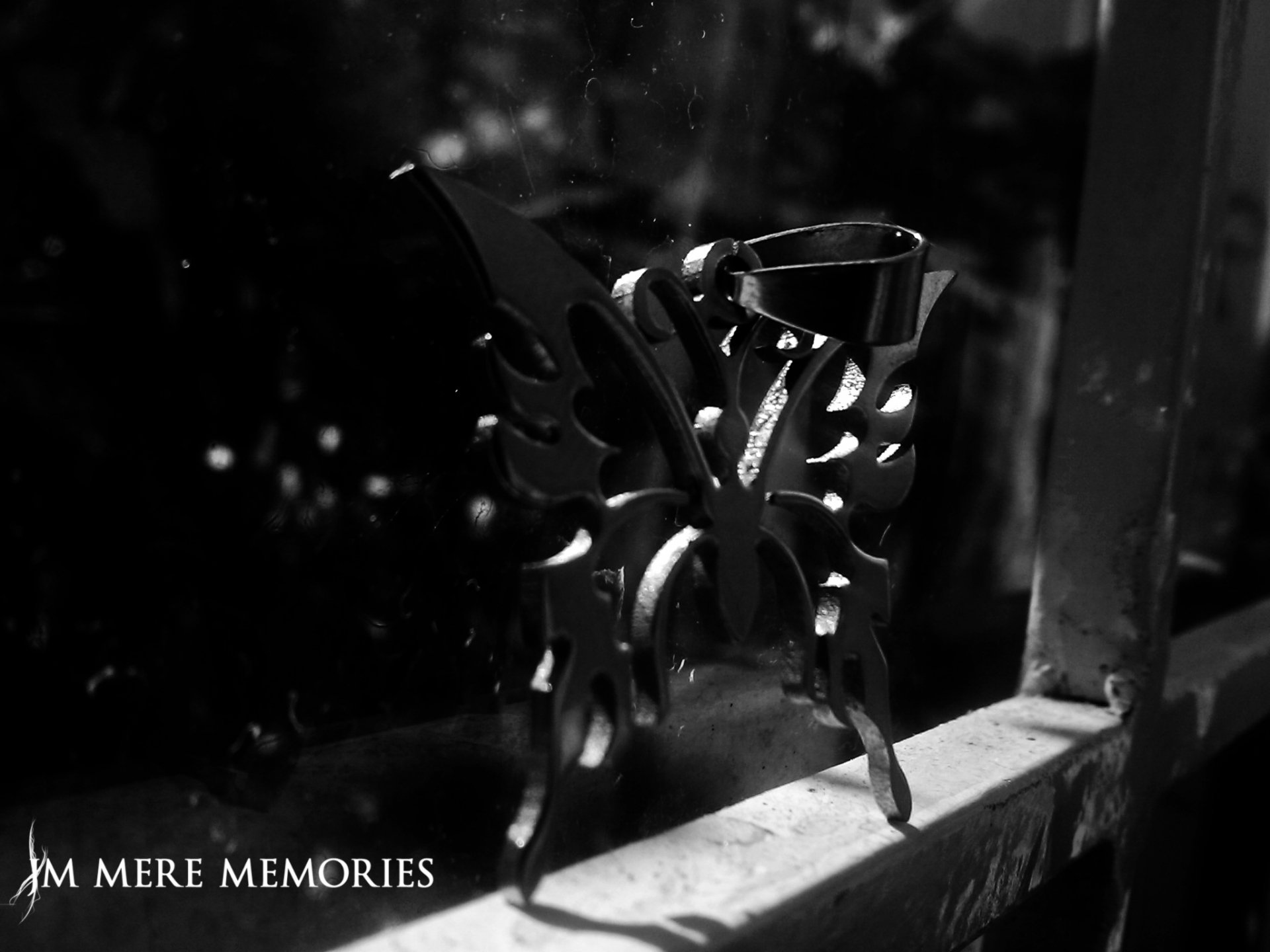 Butterfly by sylphseeker