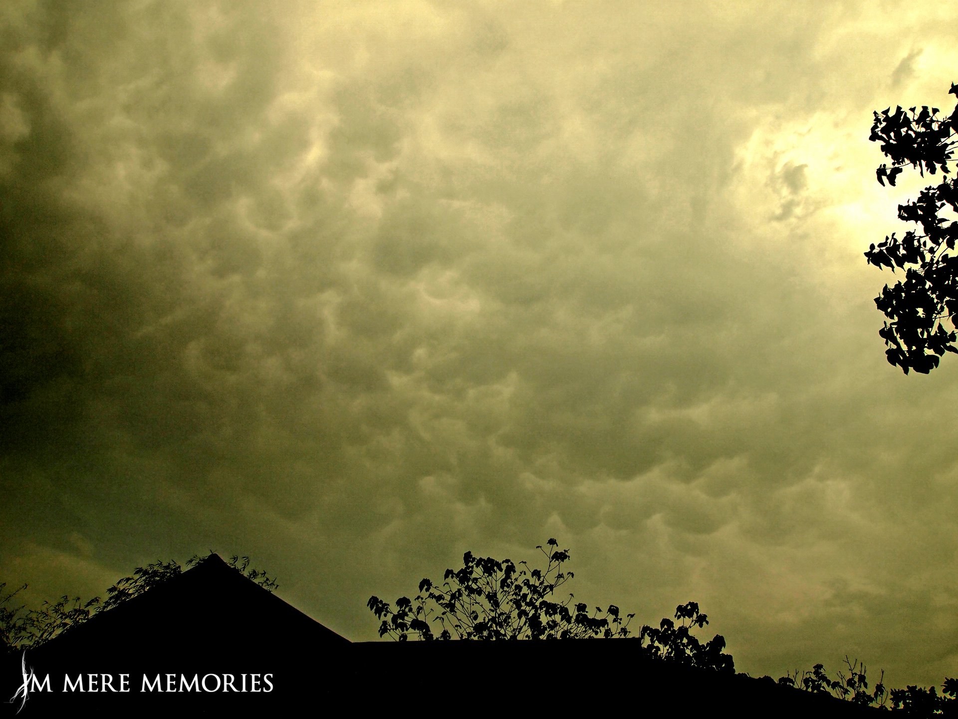 Green-tinted storm clouds roll over silhouetted treetops and a roof — nature cloud scene, 2K Quad HD PC desktop wallpaper and background.