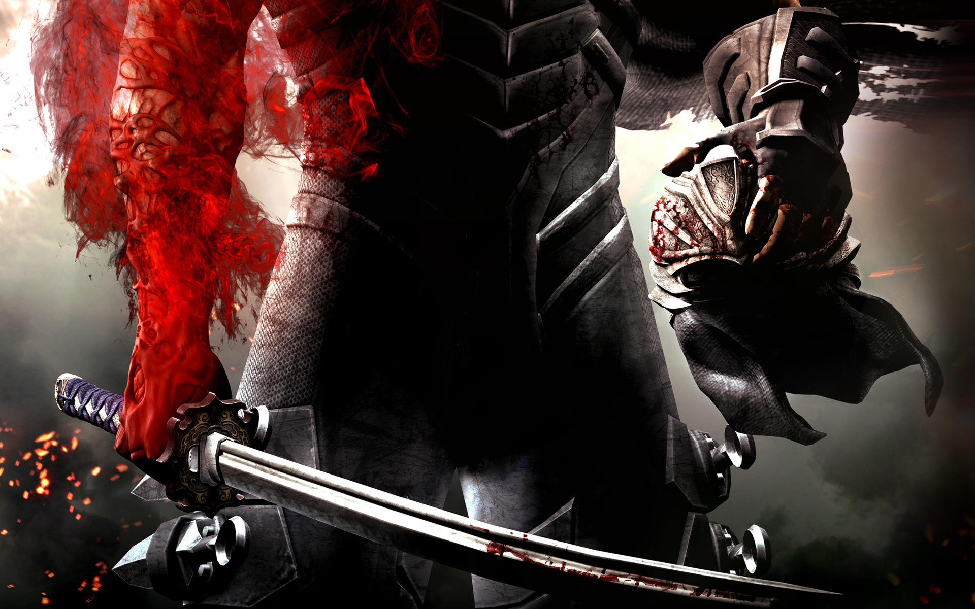 Video Game Ninja Gaiden 3 HD Wallpaper | Background Image