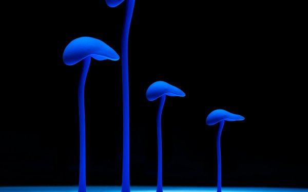 Artistic Psychedelic Mushroom HD Wallpaper | Background Image