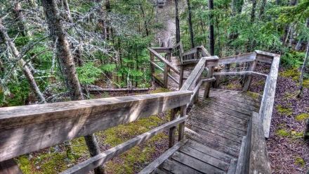  Stairway to the views