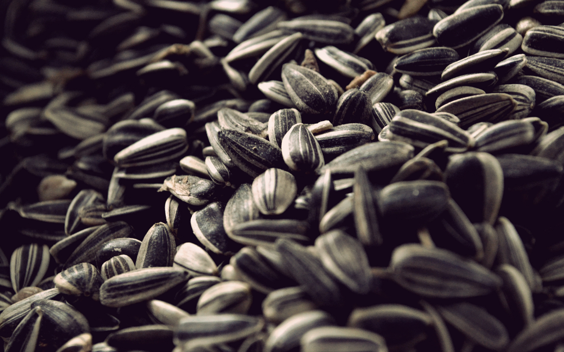 Seeds HD Wallpaper | Background Image | 1920x1200