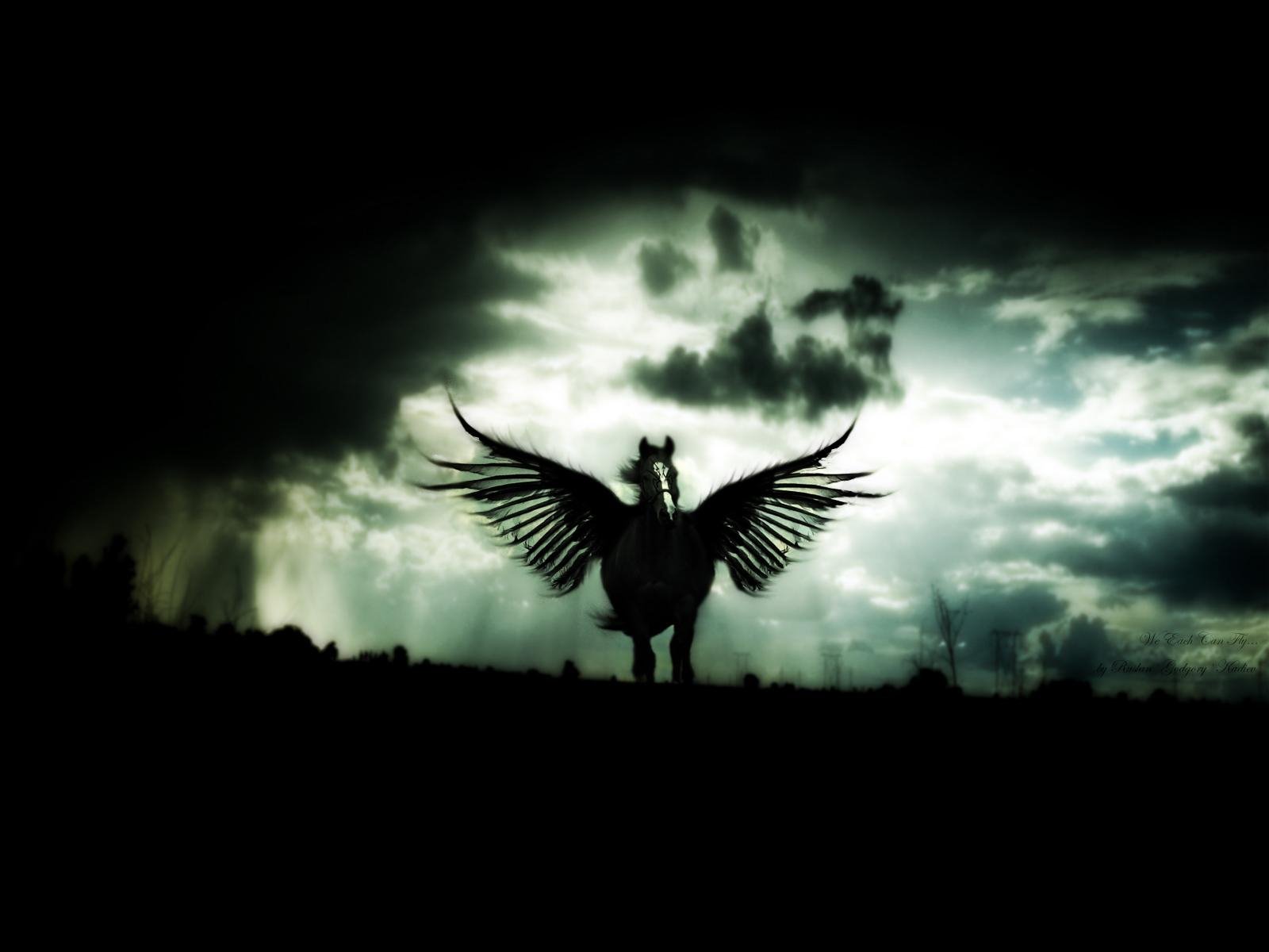 Pegasus Wallpaper and Background Image | 1600x1200 | ID:245919