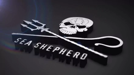 HD desktop wallpaper featuring a man-made Sea Shepherd logo with a skull, trident, and shepherd’s hook, inspired by Whale Wars.