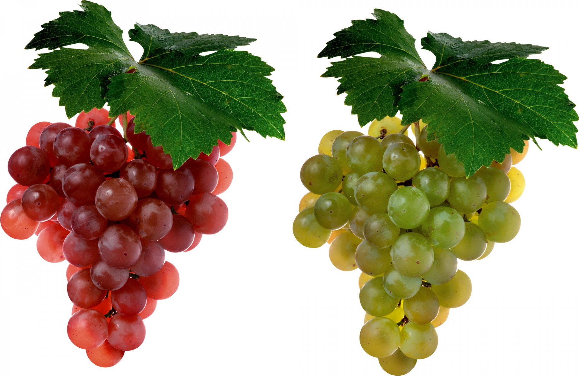 Download Food Grapes HD Wallpaper