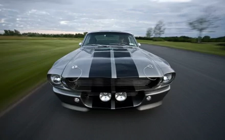 vehicle muscle HD Desktop Wallpaper | Background Image