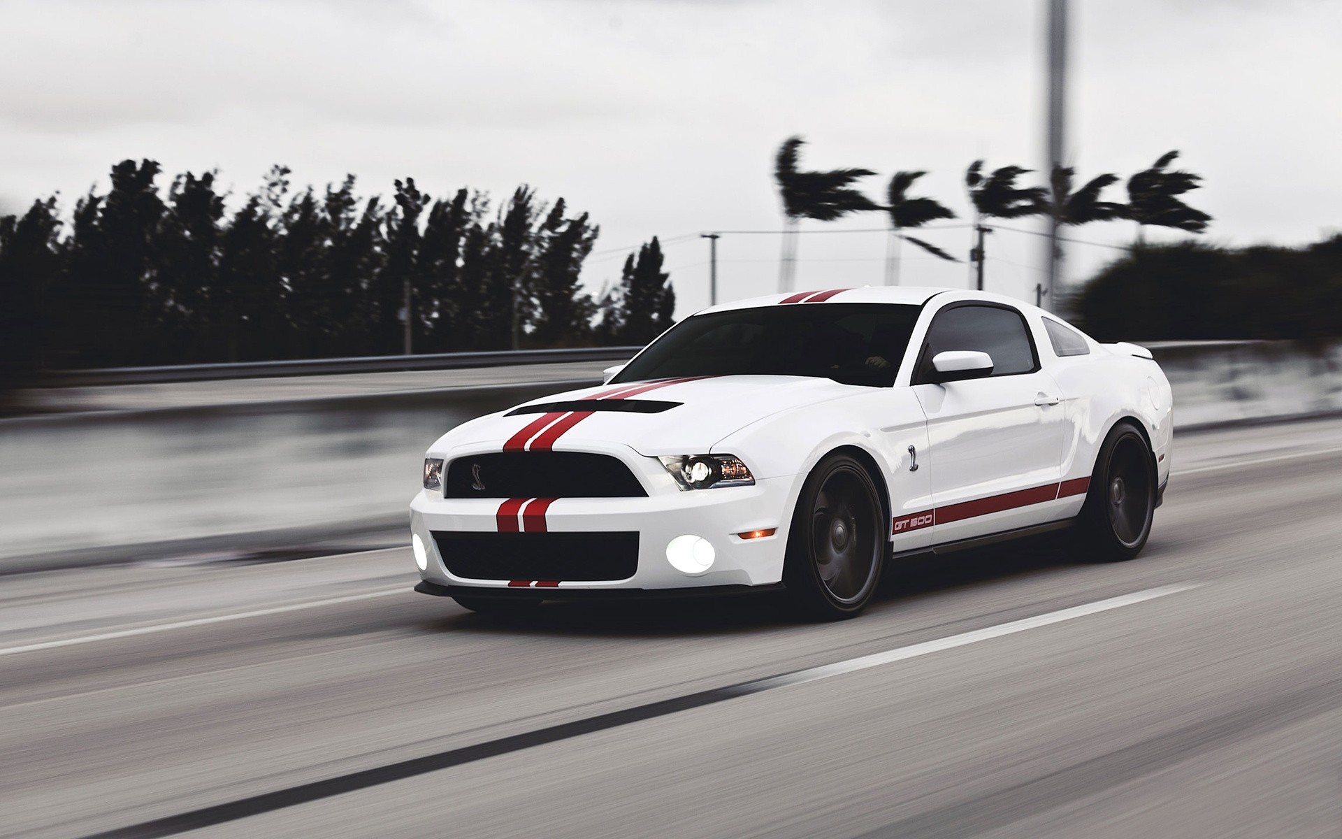 950+ Ford Mustang HD Wallpapers and Backgrounds