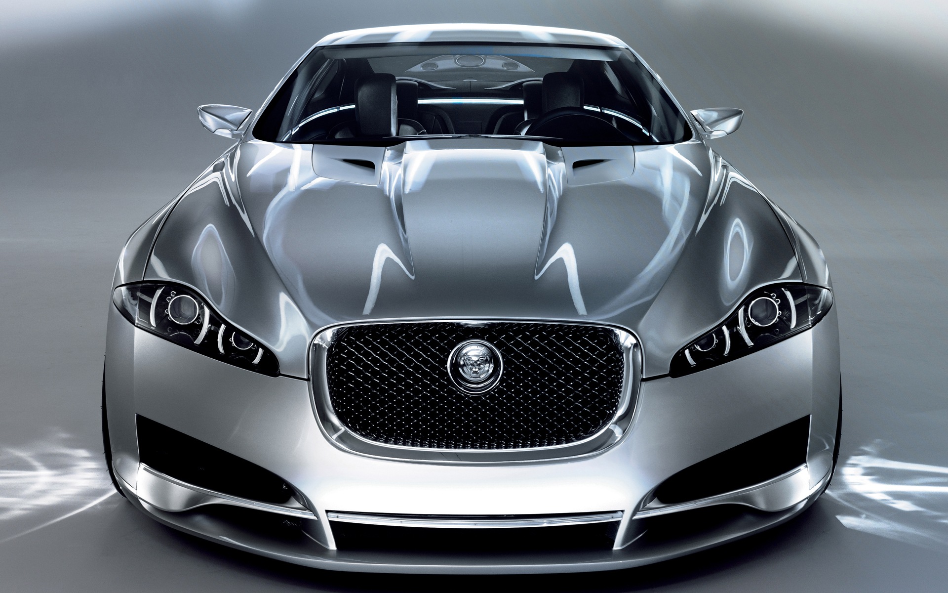 Jaguar Hd Wallpaper Background Image 1920x1200