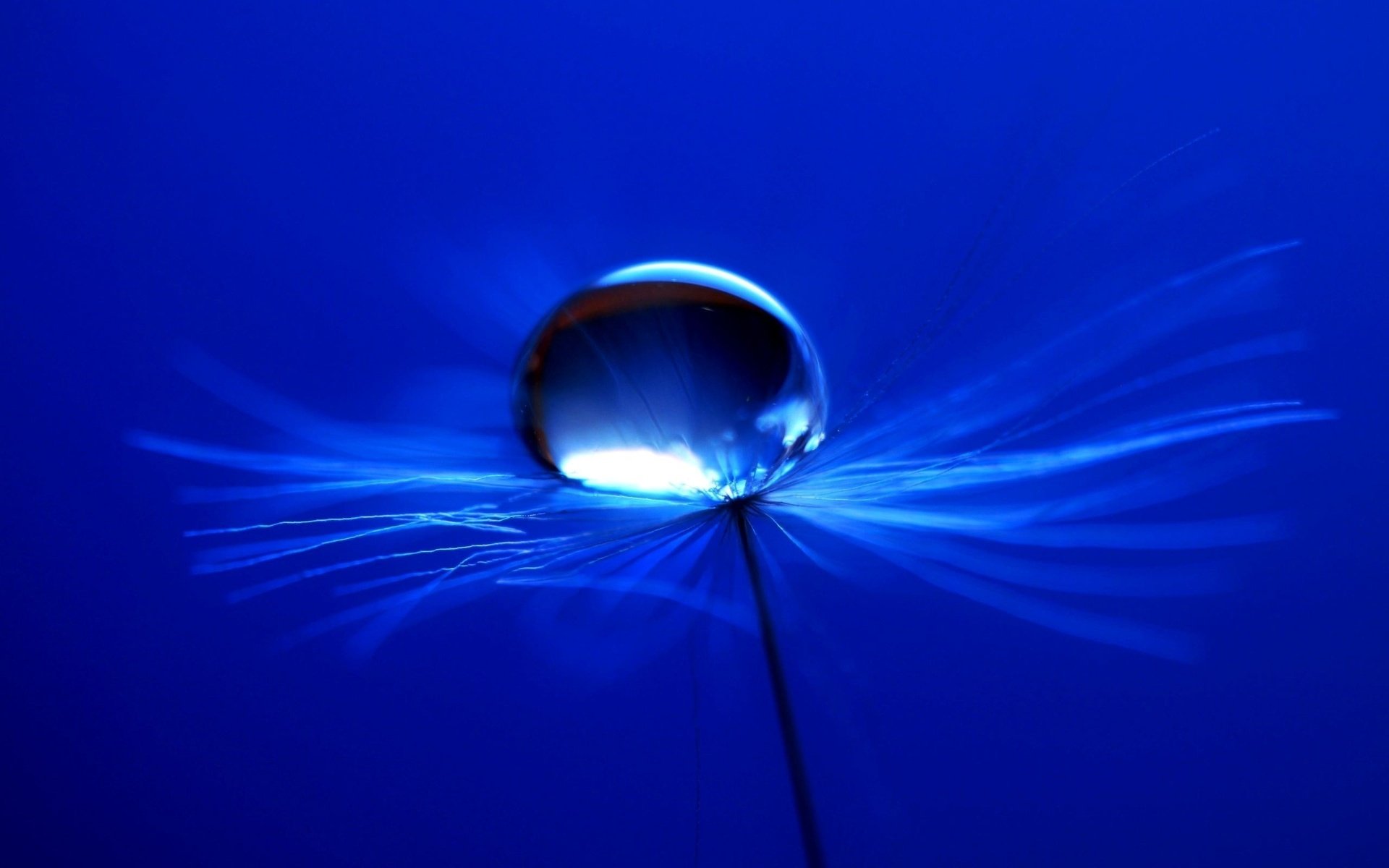 Water Drop HD Wallpaper | Background Image | 1920x1200 ...