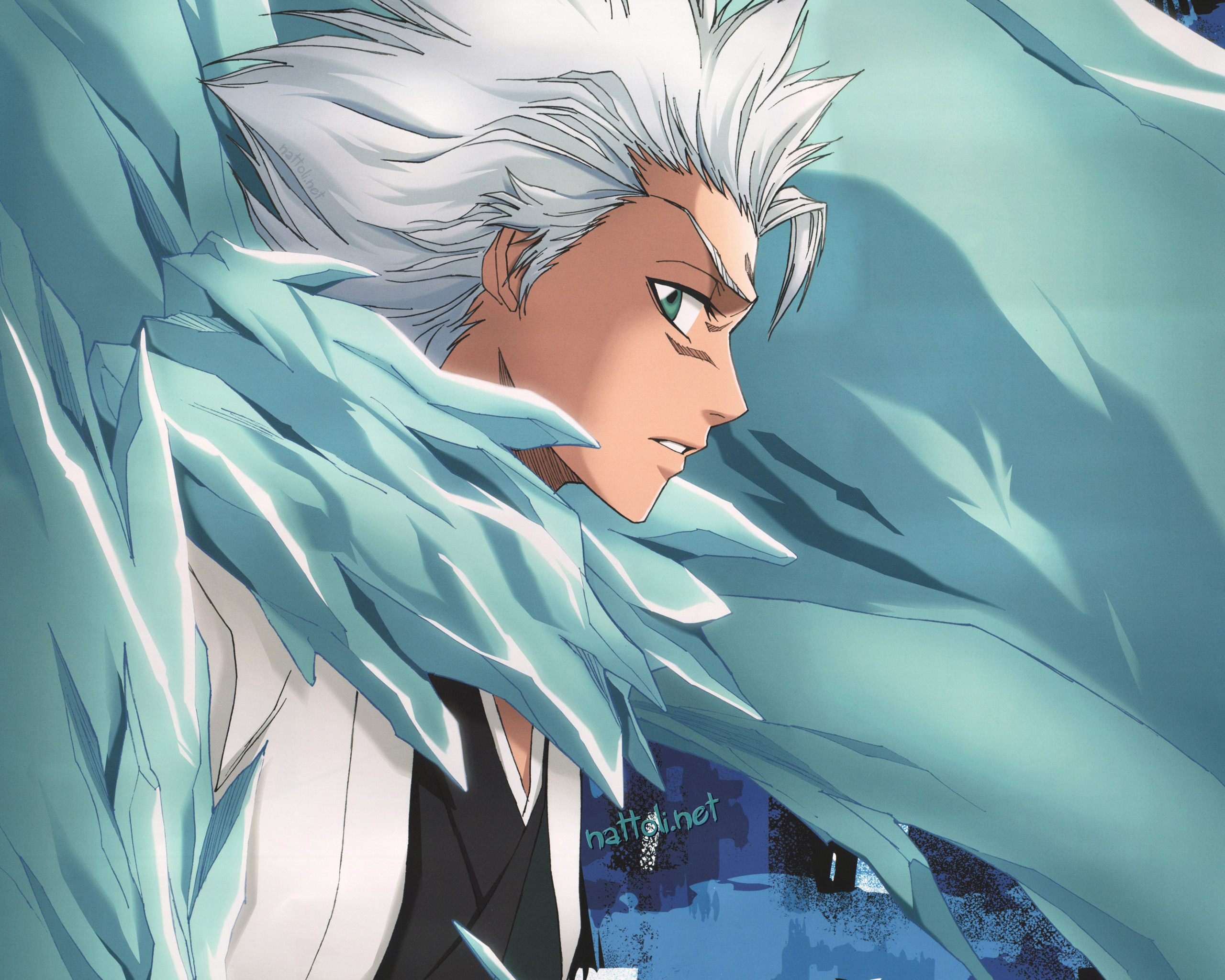 Download Tōshirō Hitsugaya Anime Bleach HD Wallpaper