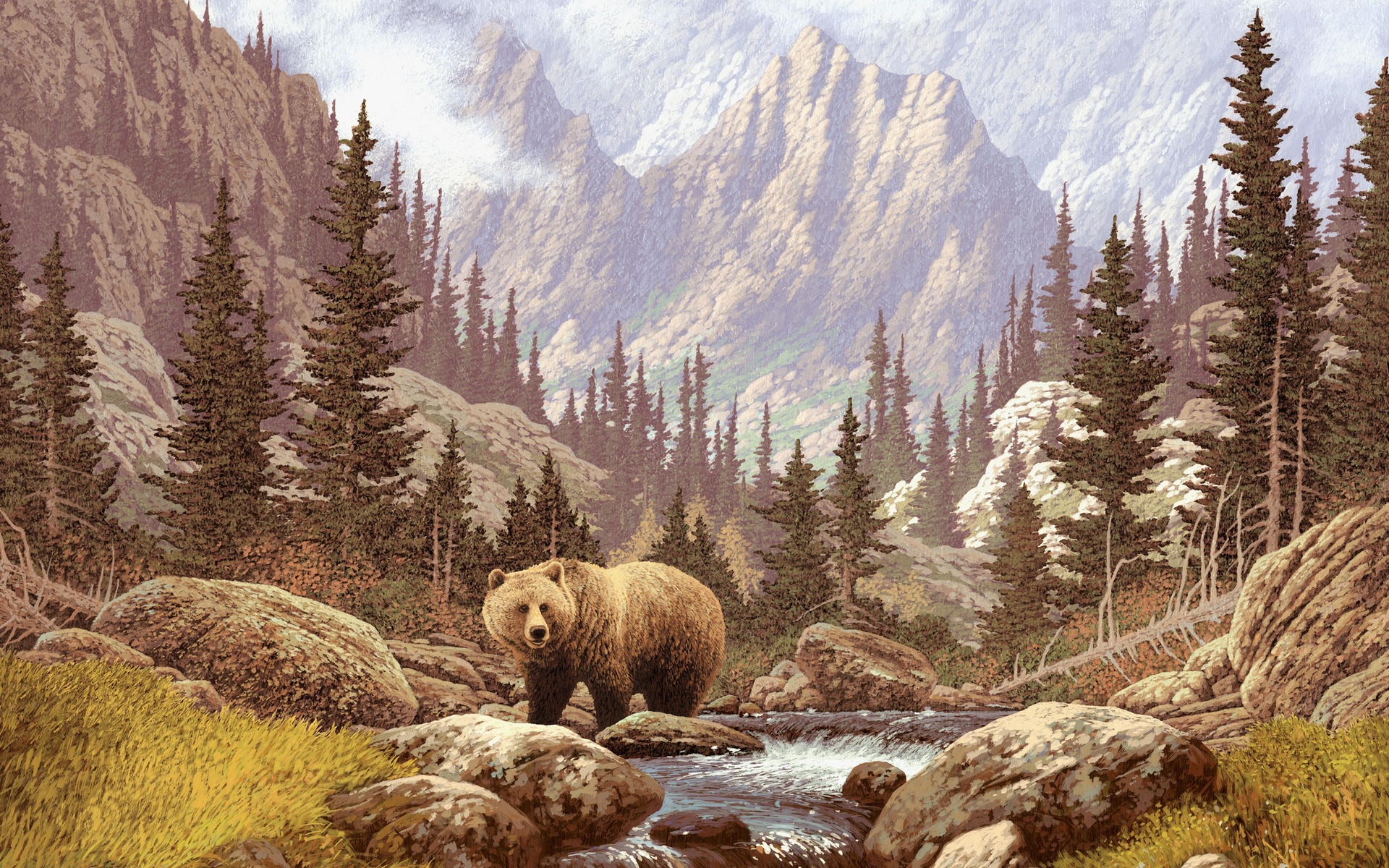 Bear Hd Wallpaper Background Image 1920x1200 Id259419