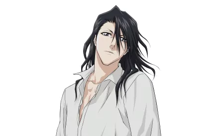 Byakuya Kuchiki Anime Bleach HD Desktop Wallpaper | Background Image