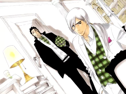 Shunsui Kyōraku Jūshirō Ukitake Anime Bleach HD Desktop Wallpaper | Background Image