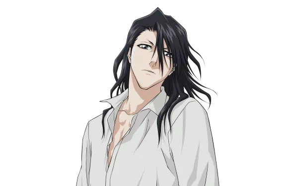 Byakuya Kuchiki Anime Bleach HD Desktop Wallpaper | Background Image