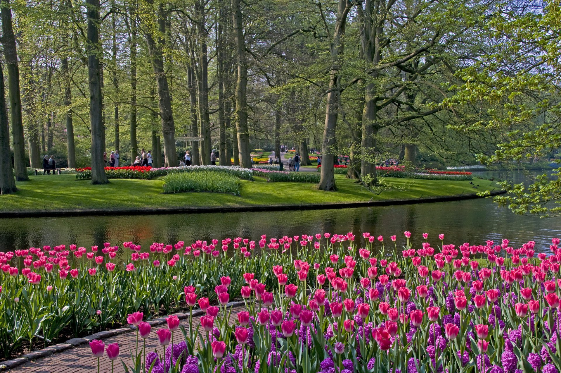 Парк цветов в Голландии Кекенхоф фото