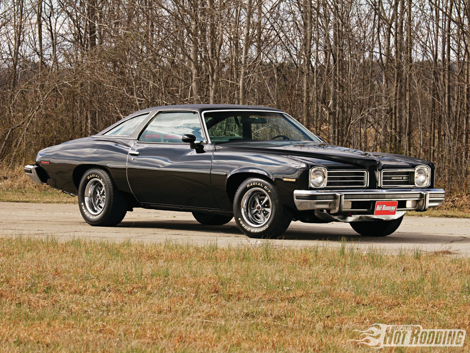 Download Vehicle Pontiac Wallpaper