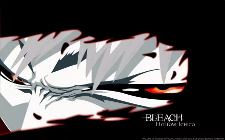 Close-up HD desktop wallpaper of Hollow Ichigo's intense eyes from the anime Bleach, featuring Ichigo Kurosaki's darker persona in striking detail.