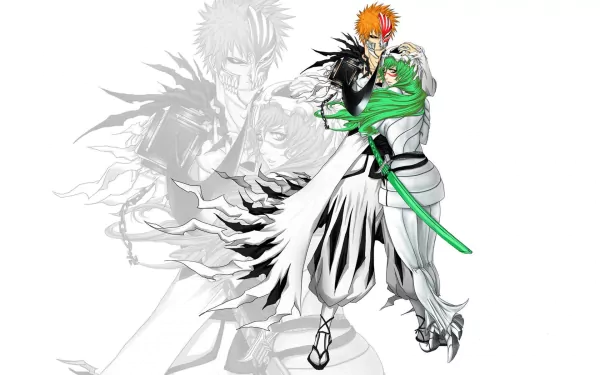 Nelliel Tu Odelschwanck Ichigo Kurosaki Anime Bleach HD Desktop Wallpaper | Background Image
