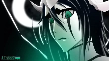 Ulquiorra Cifer Anime Bleach HD Desktop Wallpaper | Background Image