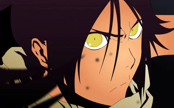 Yoruichi Shihôin Anime Bleach HD Desktop Wallpaper | Background Image